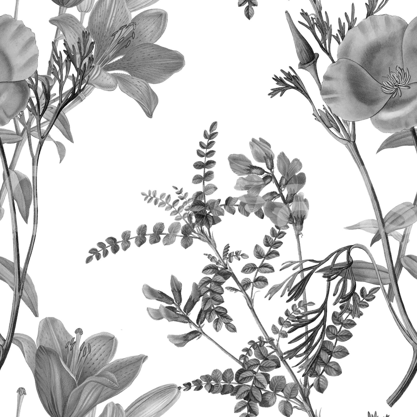 Monochromatic Botanical Print Wallpaper