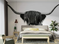 Monochrome Highland Horns and Hair mural for dramatic interiors

