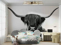 Highland cattle with horns and hair in black and white mural

