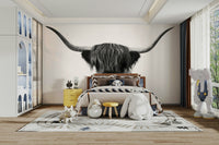 Striking black and white Highland cattle mural for walls


