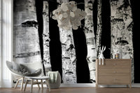 Stylish dark-and-light birch tree wallpaper in a Monochrome Woods style.