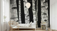 Serene black and white wallpaper, natural Monochrome Woods scene covering.