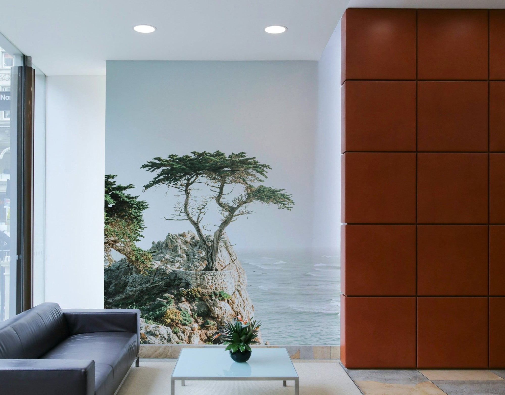 Lone cypress tree on Monterey coast GD314

