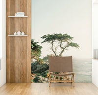 Monterey ocean cliff with cypress

