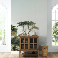 Wind-shaped tree on rocky bluff

