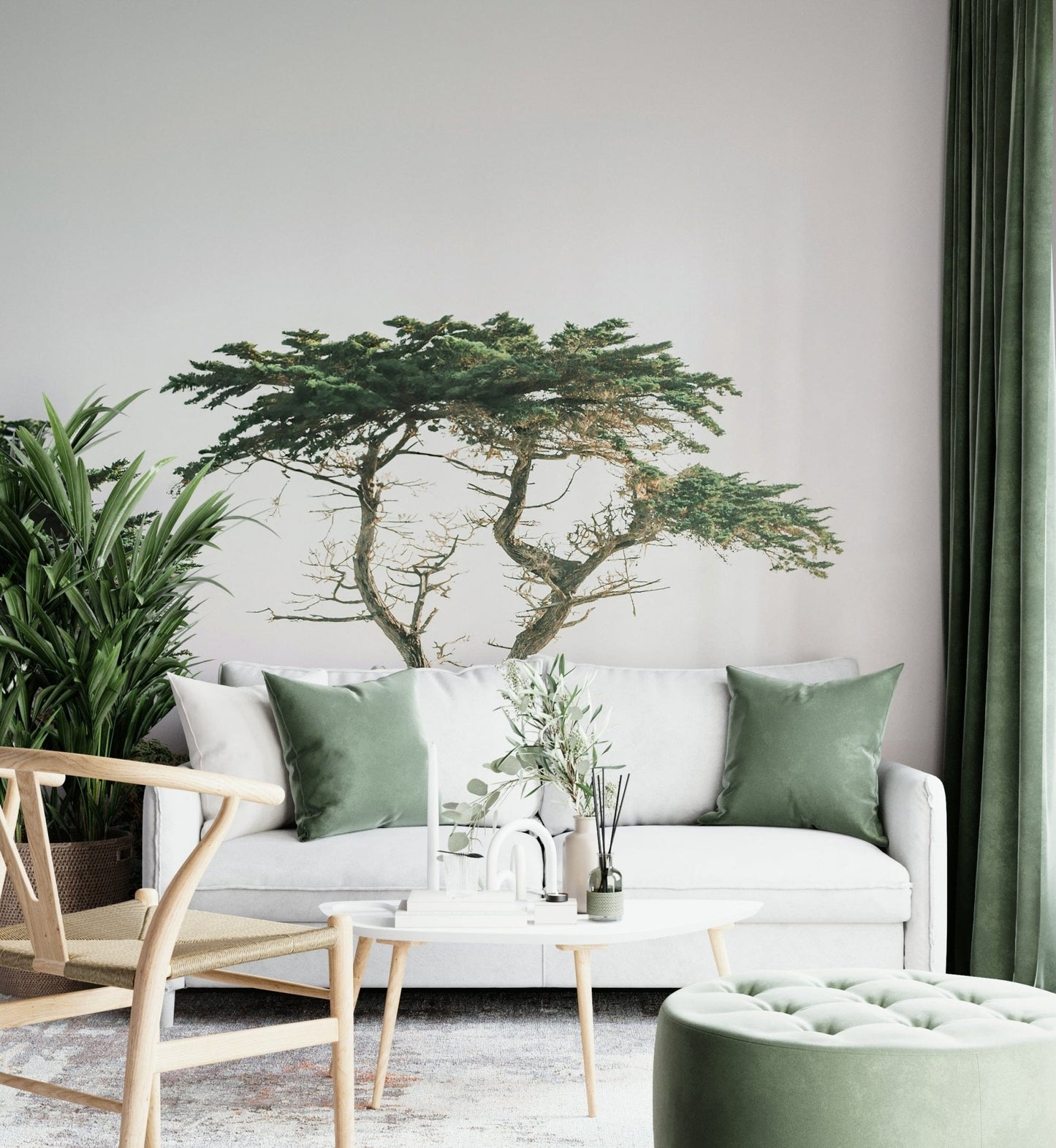 Tree on cliff overlooking Pacific

