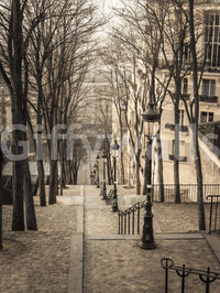Tree silhouettes Montmartre stairs Wall Mural, detailed historic scenery.