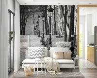 Stunning Montmartre stairway wall mural for decor.

