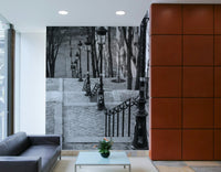 Transform your walls with Montmartre stairway mural.

