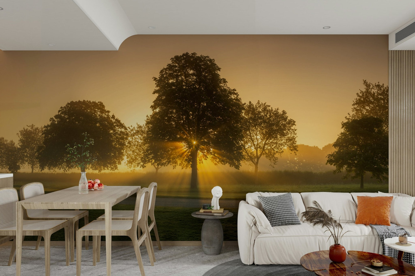 Morning radiance wall mural
