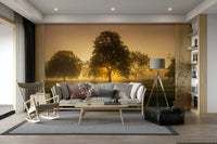 Sunlit tone mural wallpaper
