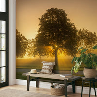Warm light-inspired wall mural
