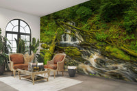 The wallpaper is used as a feature wall in a bedroom.

