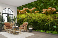 Botanical wallpaper with woodland mushroom view

