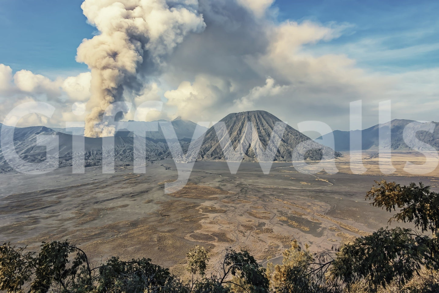 Mount Bromo Eruption Wall Mural