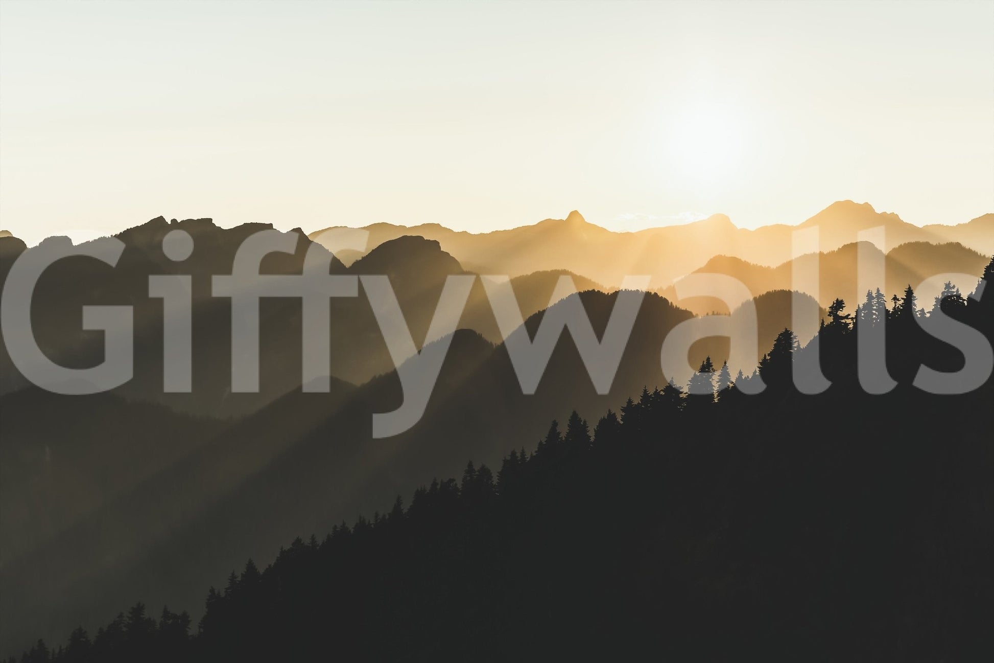 Mountain Dawn Woodland, a majestic artwork of a woodland at early light.