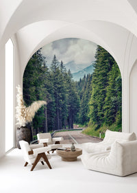 Mountain Road Vista Wall Mural