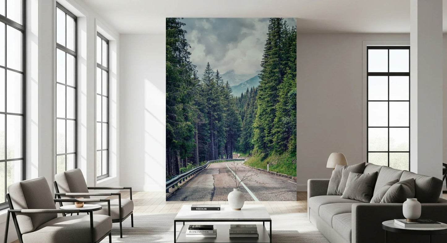 Mountain Road Vista Wall Mural