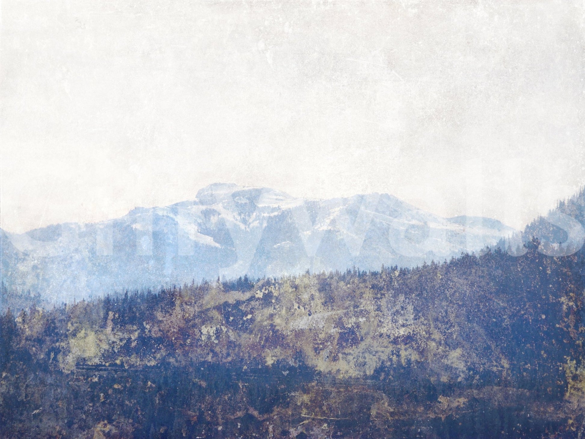 A high-quality minimalist peak wall mural for walls.