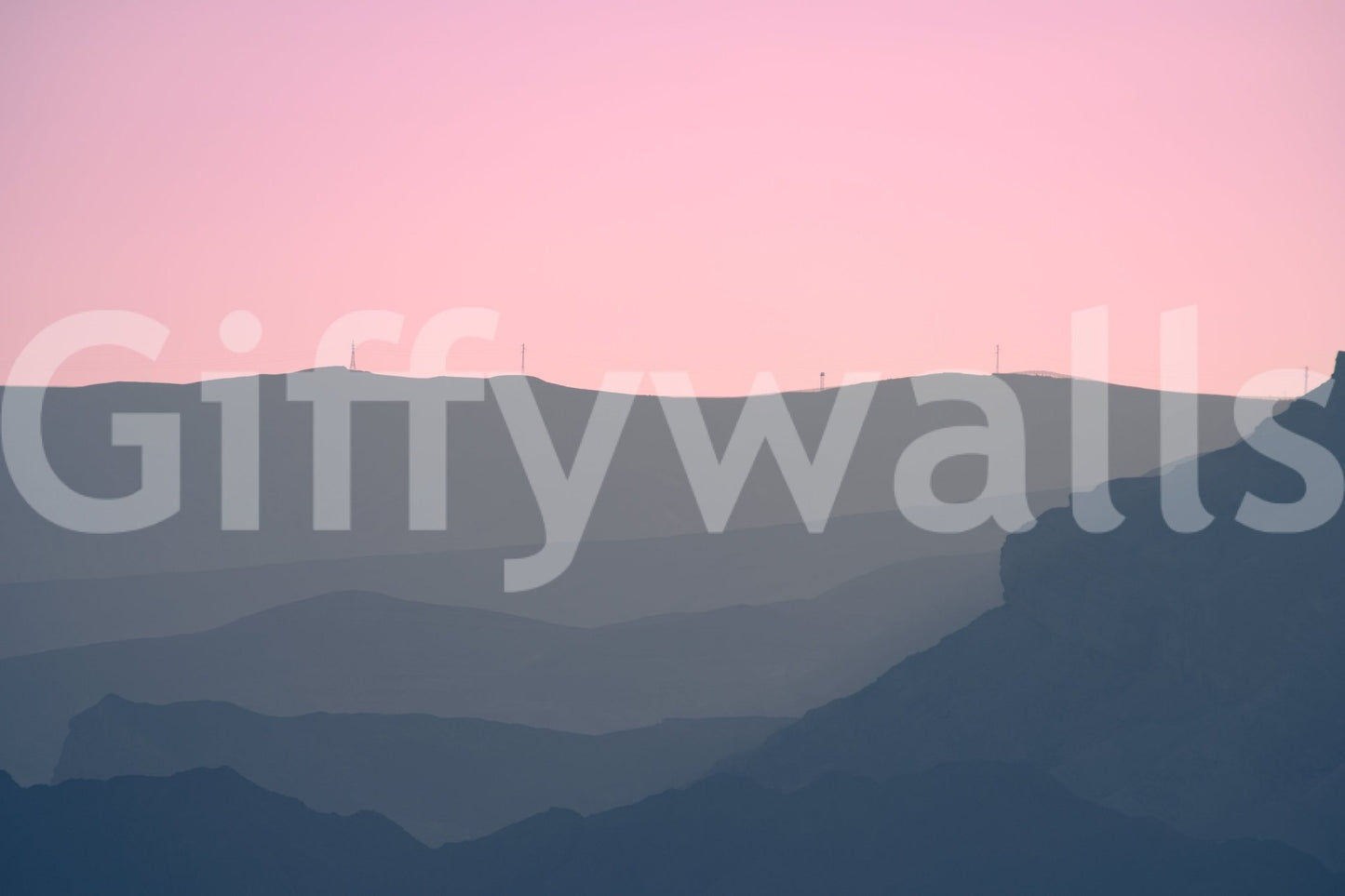 A detail of the brushstrokes and tones in the design.