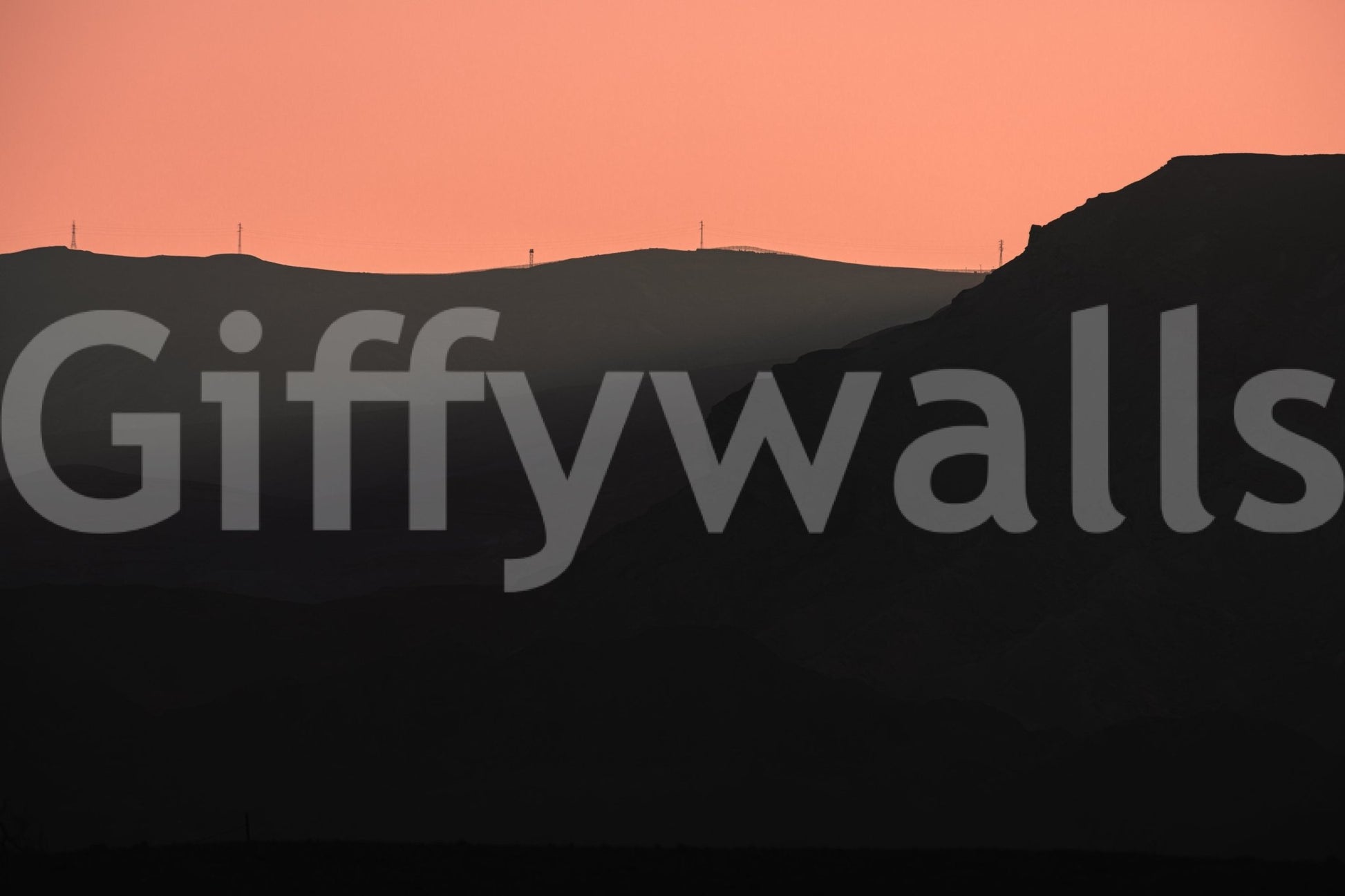 A detail of the brushstrokes and tones in the design.