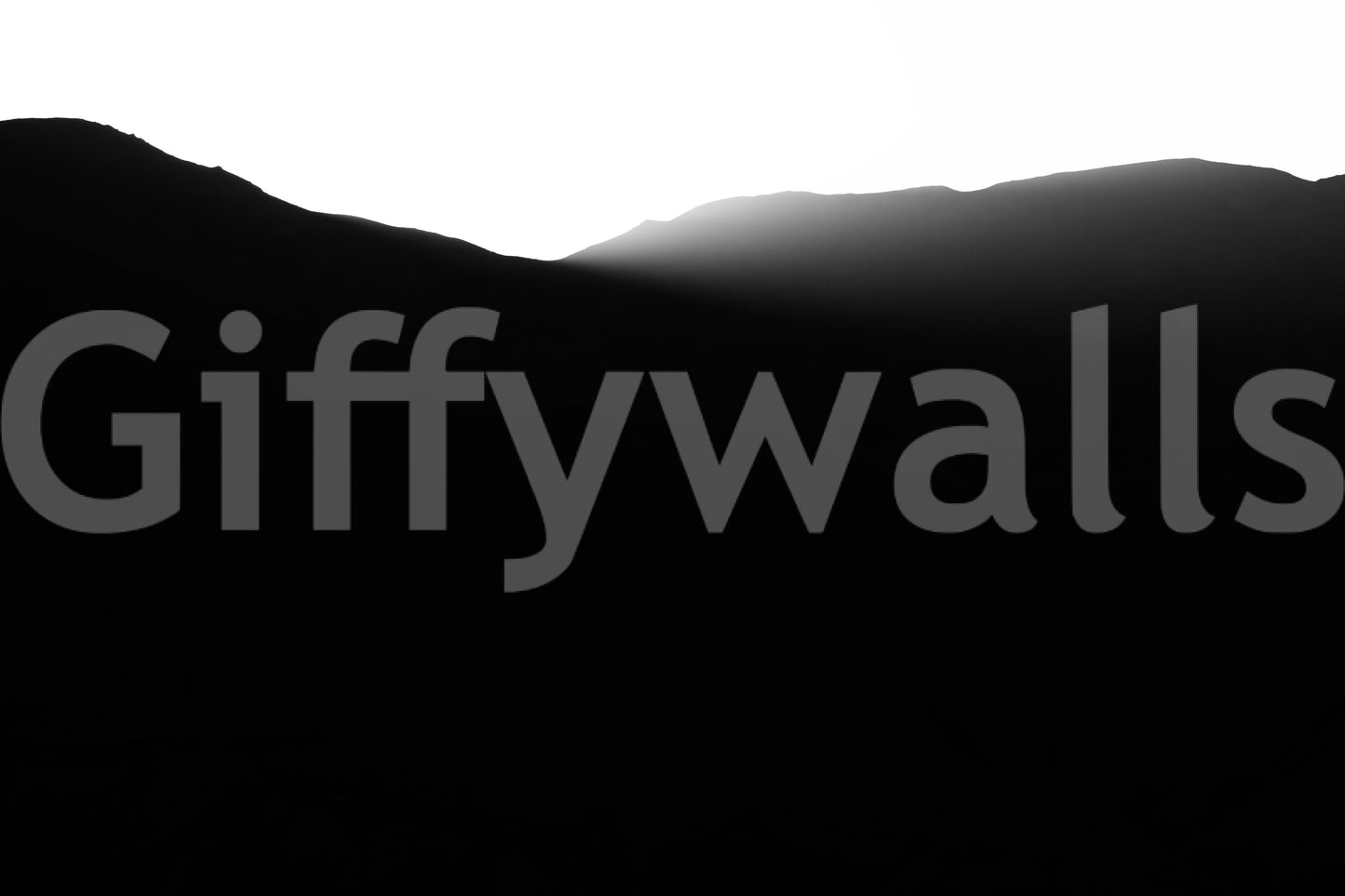 A detail of the brushstrokes and tones in the design.