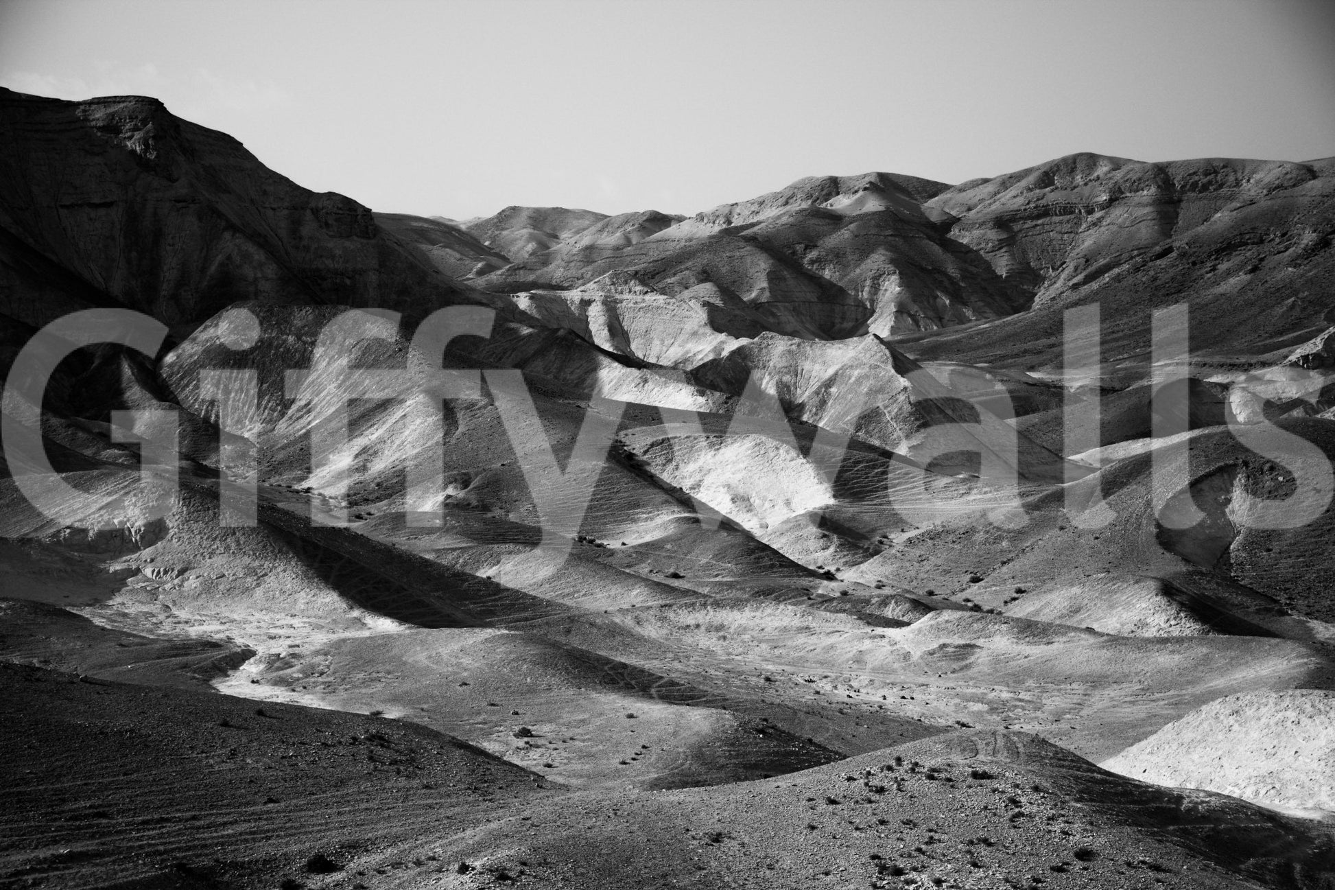 Mountains of the Judean Desert 4 Wall Mural