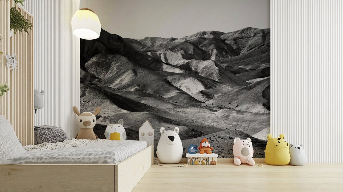 Mountains of the Judean Desert 4 Wall Mural with sunlit monochrome canyons GD4965
