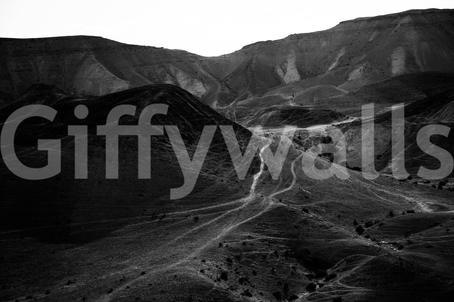 Mountains of the Judean Desert 5 Wall Mural