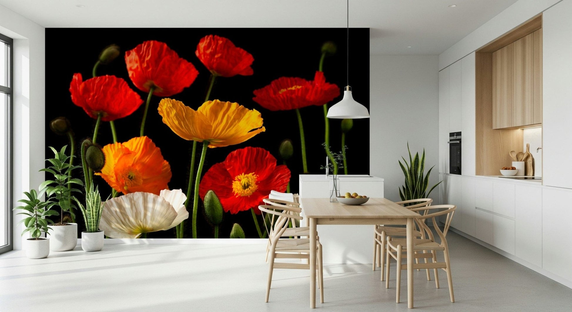 Beautiful floral wallpaper art, Multicoloured Poppies design, stylish home decor.