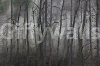 Provides a grand and artistic backdrop.

