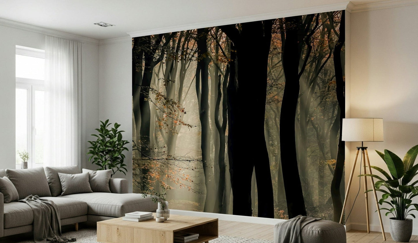 Foggy forest wallpaper, towering dark trees, beautiful woodland photograph.