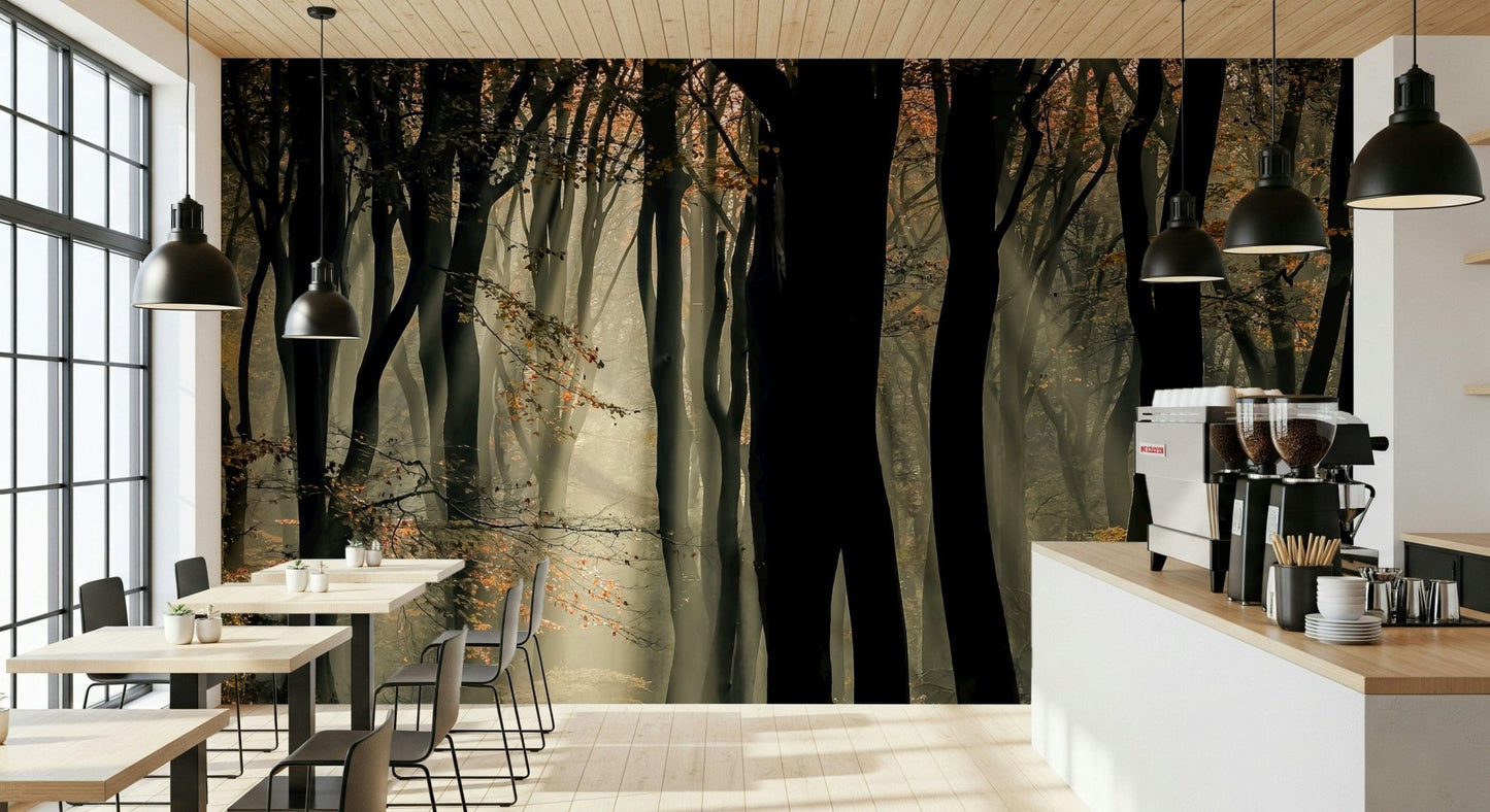 Serene Mystic Woods backdrop, haunting light effects, stunning feature wallpaper.