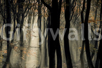 Magical forest mural, dark woods and shafts of light, unique nature art.