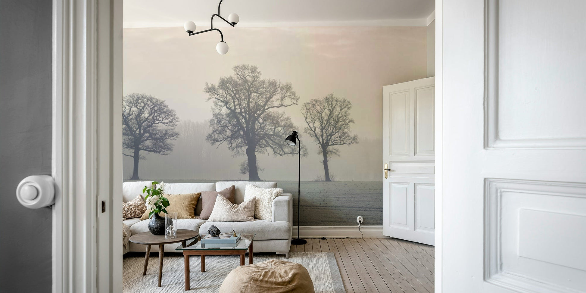 Wall mural of mystical trees in a fog-covered forest.

