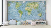 Educational world map mural design
