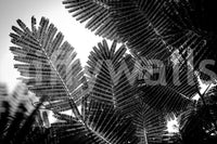 A high-quality serene geometric wall mural for walls.

