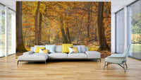Nature-inspired wallpaper that brings a serene touch to any room

