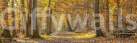 Adds a natural, woodland charm to your home or office

