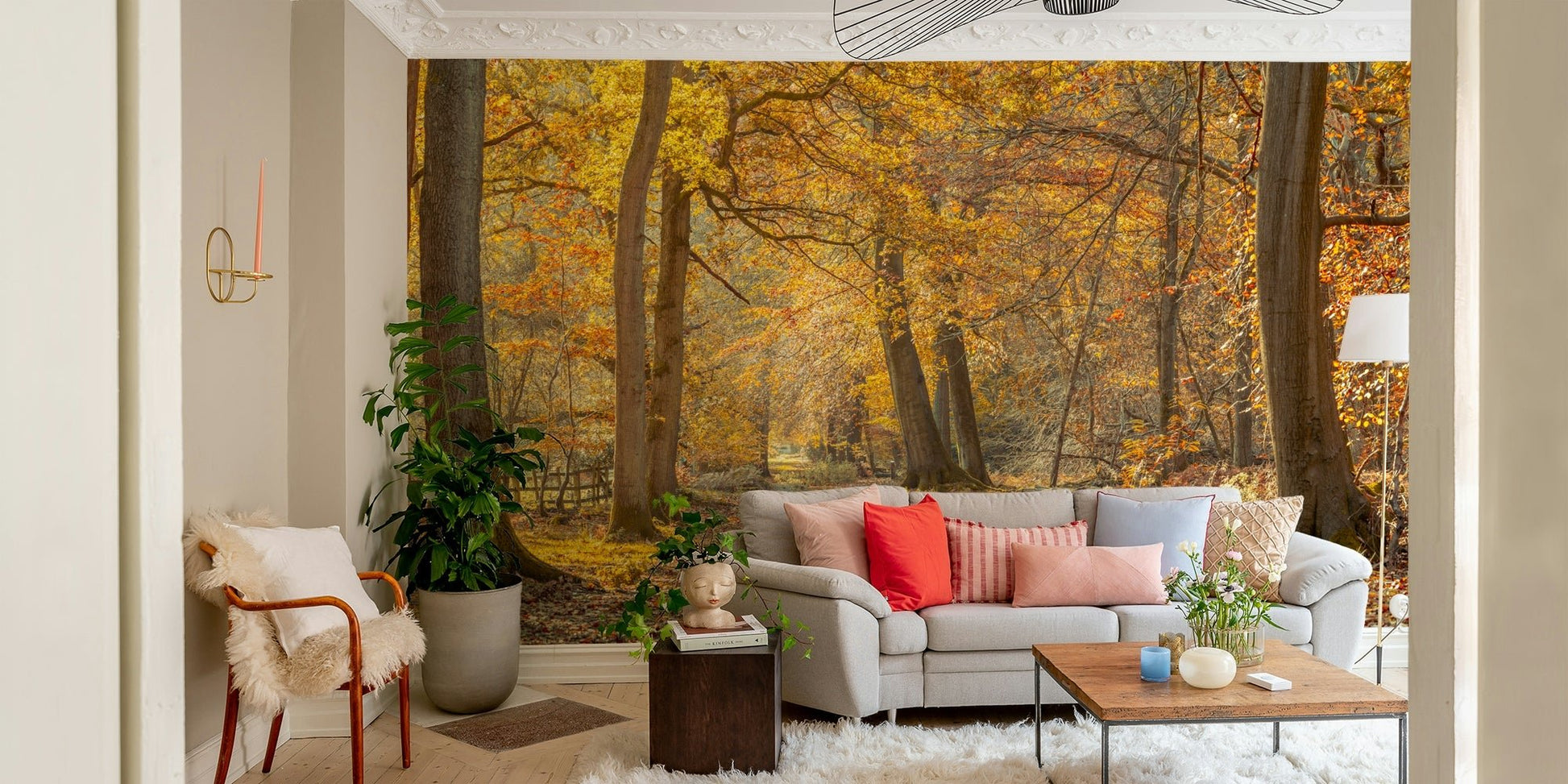 Lush trees and soft light create a calming forest atmosphere

