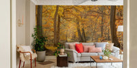Lush trees and soft light create a calming forest atmosphere

