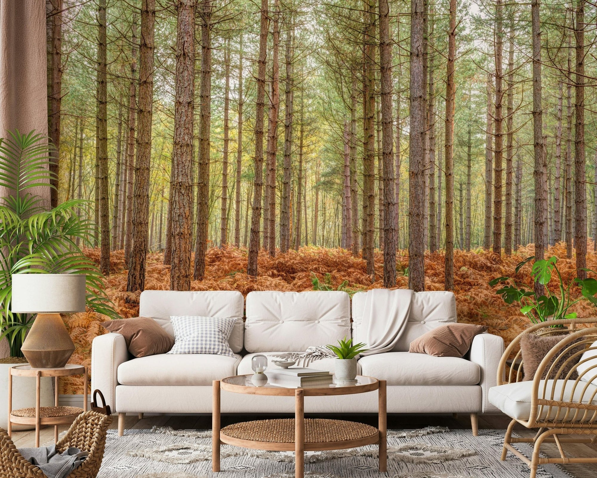 Pine tree wallpaper with soft natural light filtering through a dense grove., GD2370