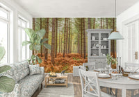 Nature's Embrace wall mural featuring tall pine trunks and golden ferns.