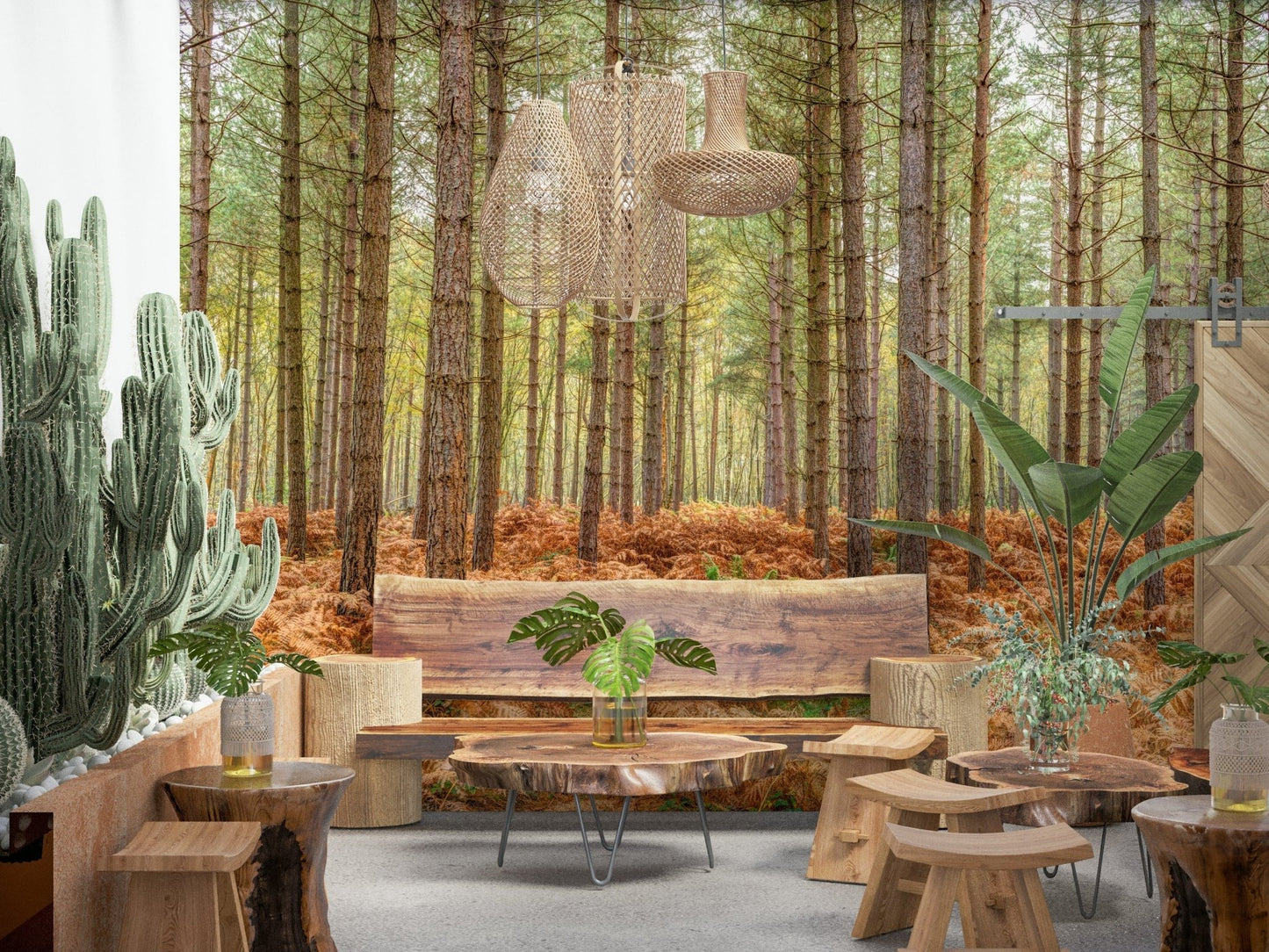 Natural scenery wallpaper with a peaceful and grounding woodland view.