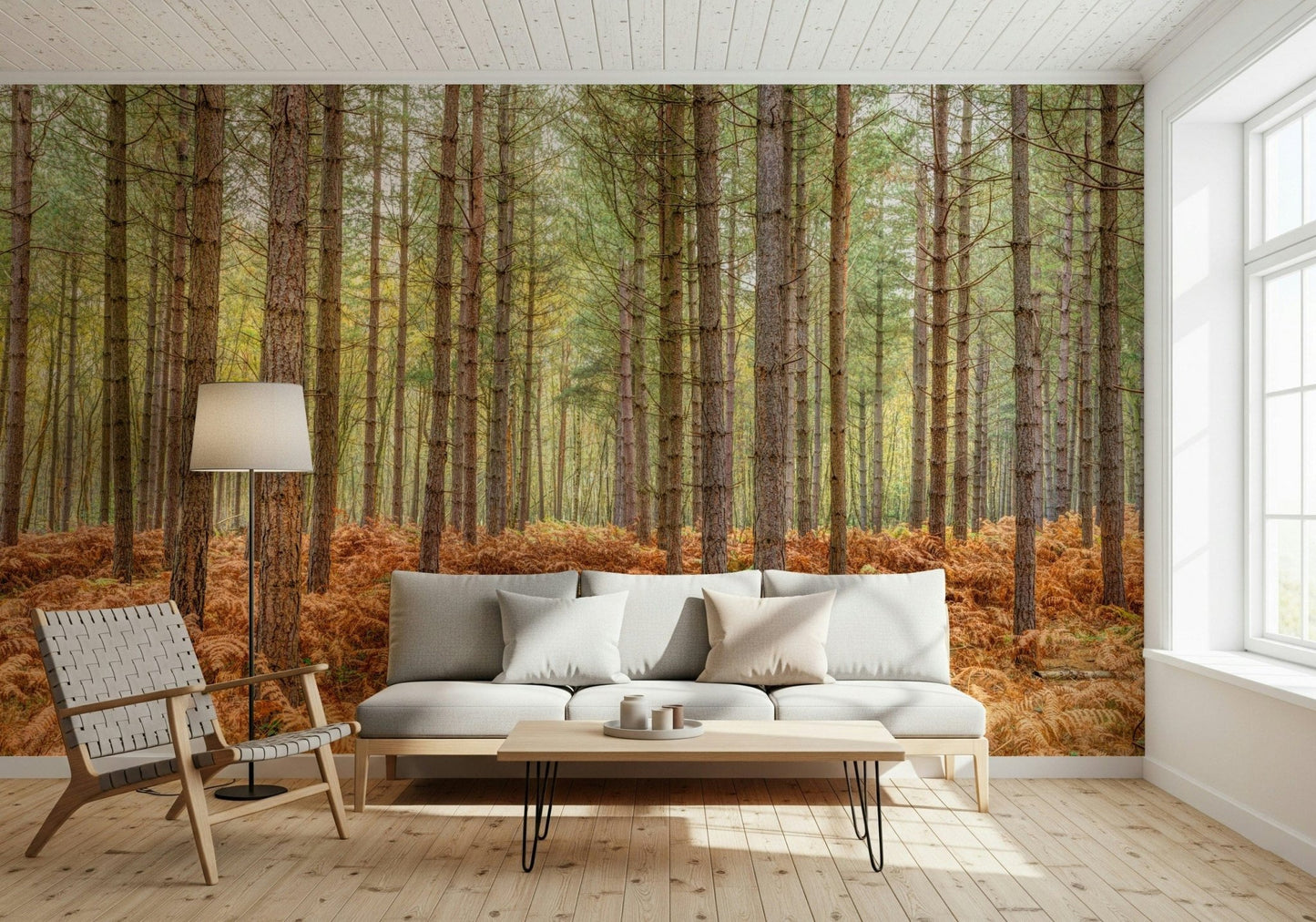 High resolution wall mural capturing a rhythmic pattern of forest trees.