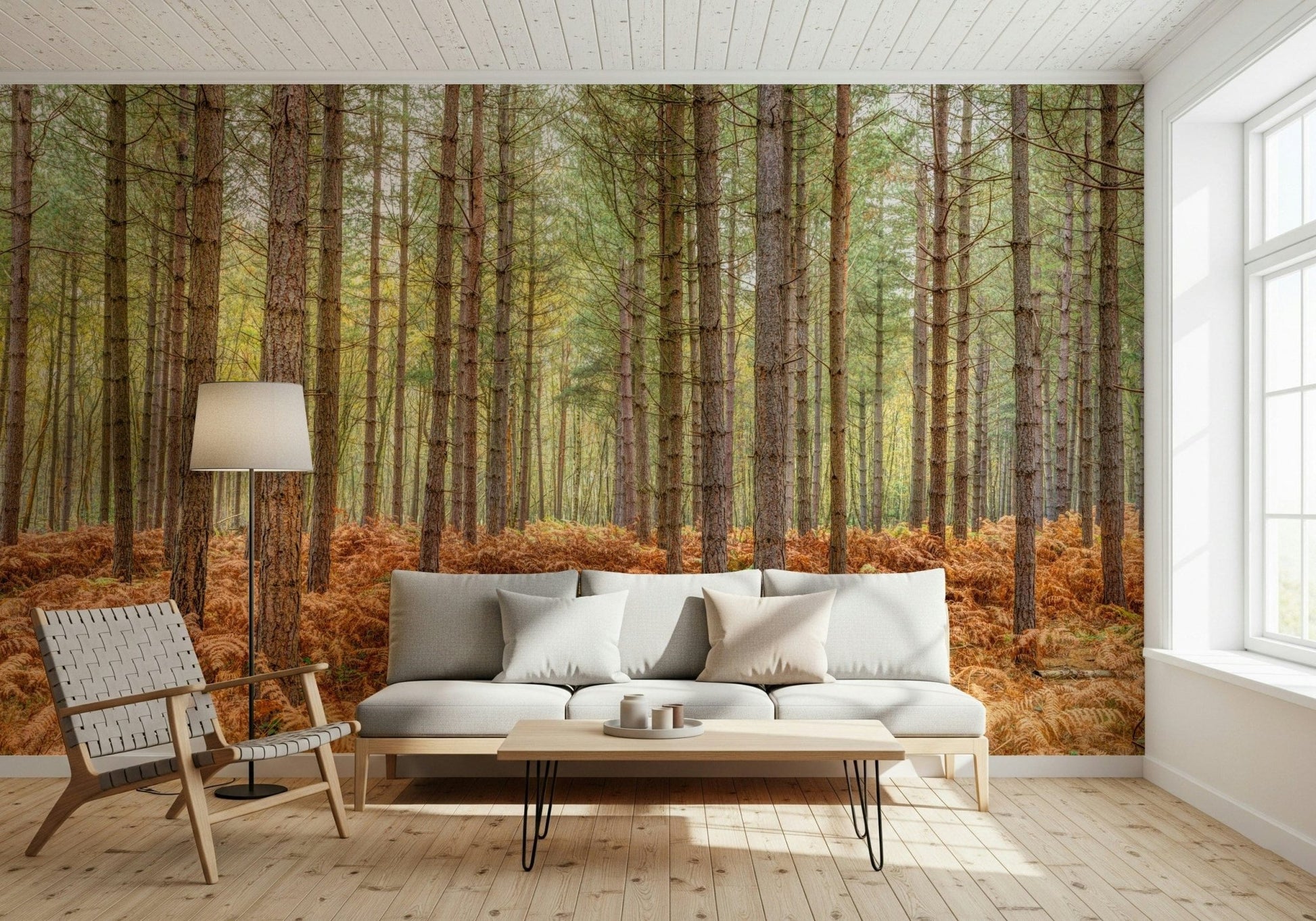 High resolution wall mural capturing a rhythmic pattern of forest trees.