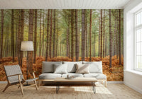 High resolution wall mural capturing a rhythmic pattern of forest trees.