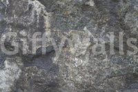 Natural stone look mural for a peaceful yoga space with green plants.