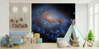 Nebula Dreams Wall Mural wallpaper mural with vibrant cosmic dust.
