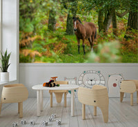 Wall covering New Forest Nomad pony standing in a dense, beautiful forest.